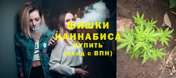 бутират Бородино