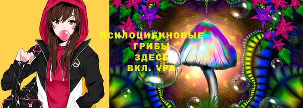 бутират Бородино