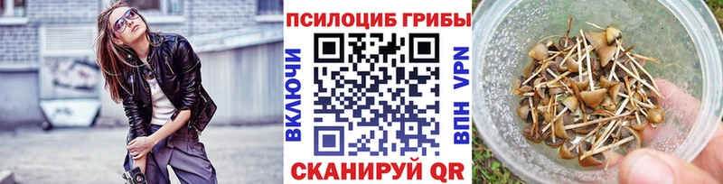 Псилоцибиновые грибы мицелий Дивногорск